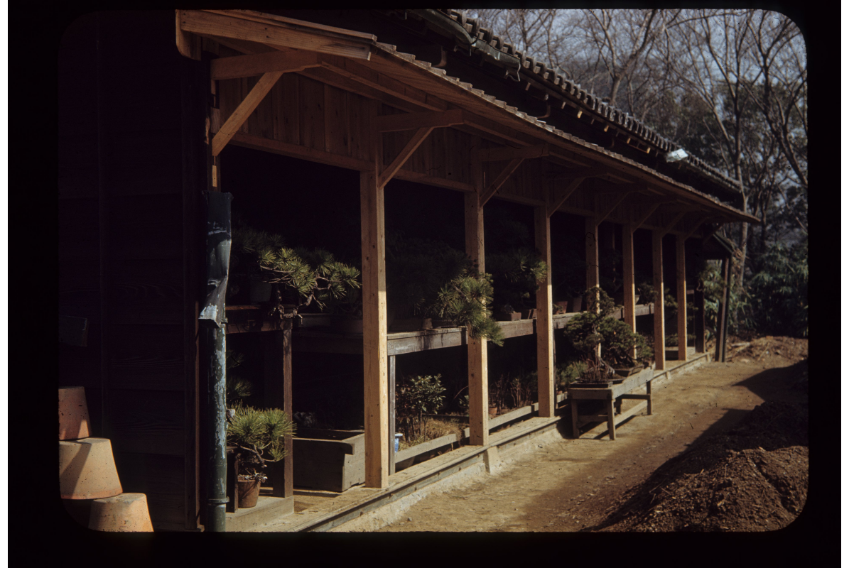 Imperial Palace Collection (1), 1949, by Lennox Tierney